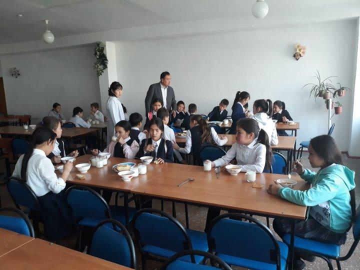 Тамақтандыру