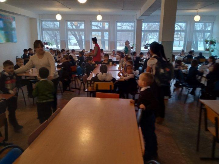 Тамақтандыру