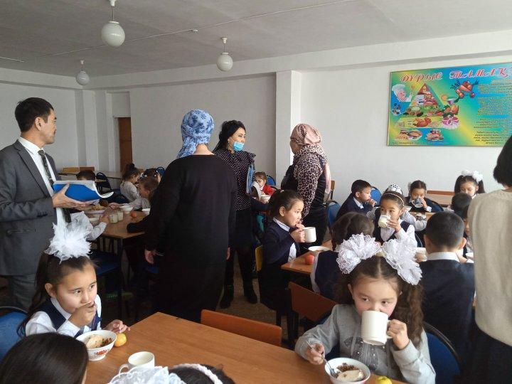 Тамақтандыру