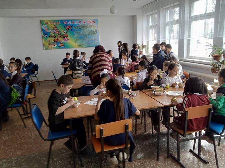 Тамақтандыру