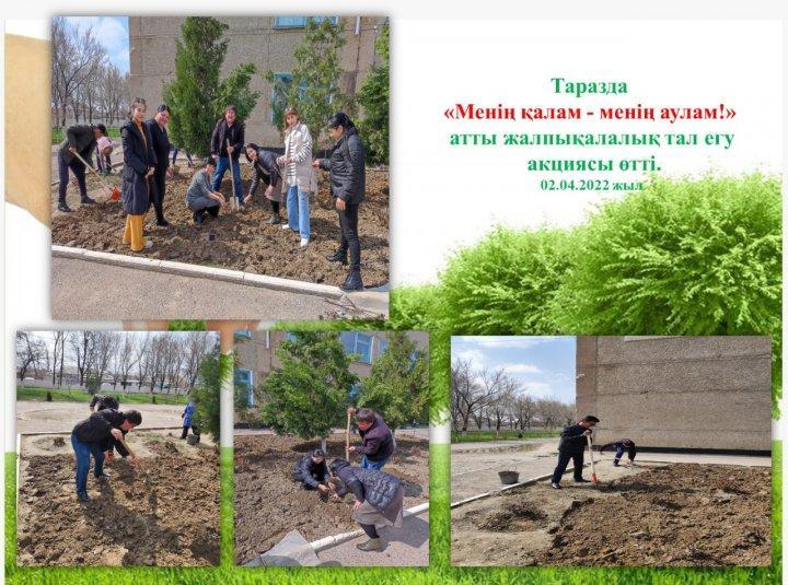 Таразда  "Менің қалам-Менің аулам!" атты жалпы қалалық тал егу акциясы өтті.