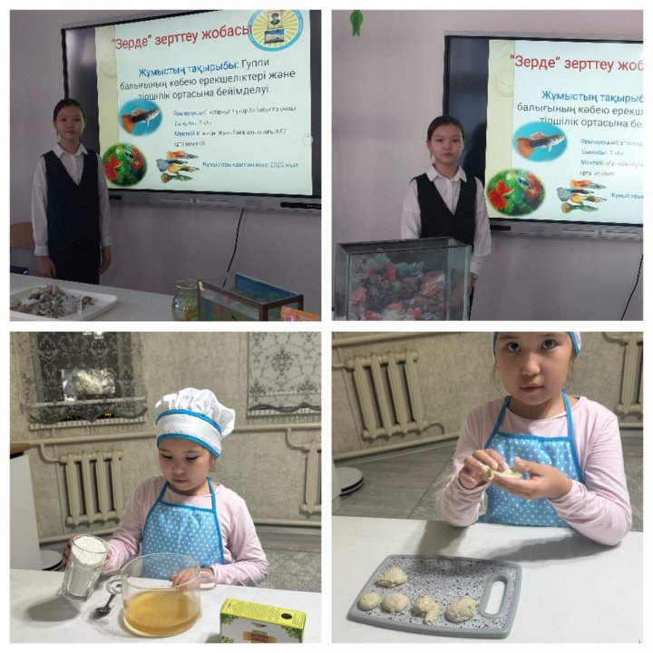 «Зерде» конкурсының қалалық кезеңі